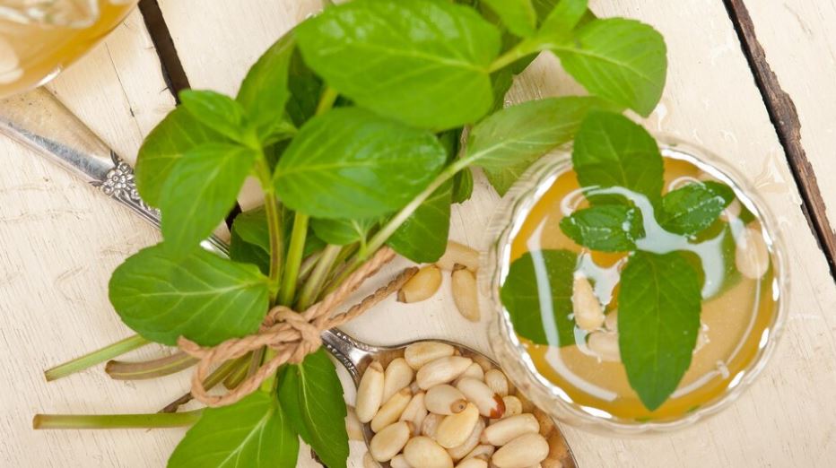 Lemon Balm Drink Weight Loss