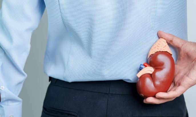 What are the options once your Kidney Fails